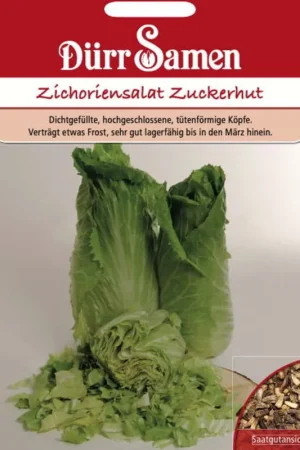 Dürr Samen Wilde Cichoreizaden "Zuckerhut", 500 Korrels - Nieuw in het assortiment