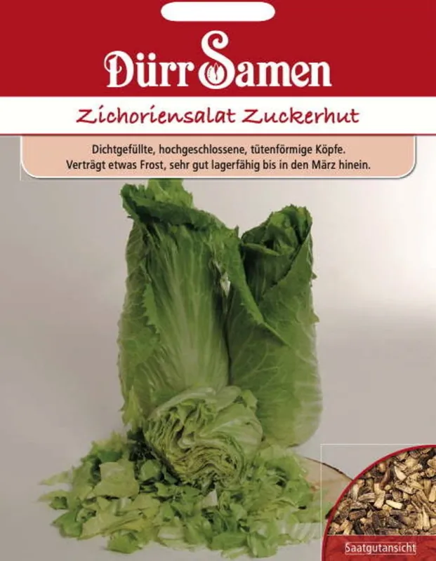 Dürr Samen Wilde Cichoreizaden "Zuckerhut", 500 Korrels - Nieuw in het assortiment