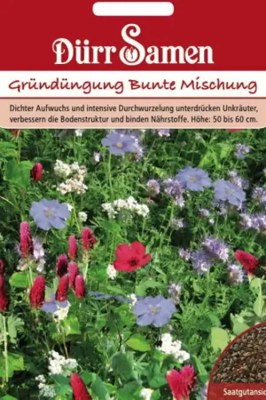 Nu beschikbaar | Dürr Samen Groenbemesting "Bunte Mischung", 50 g