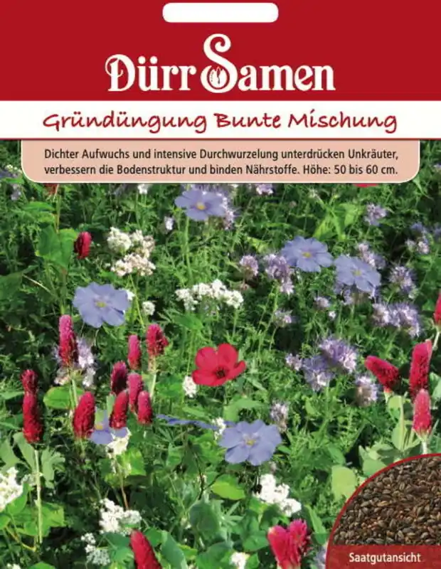 Nu beschikbaar | Dürr Samen Groenbemesting "Bunte Mischung", 50 g