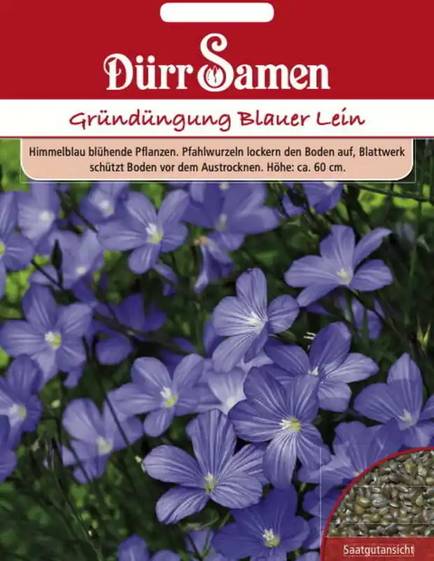 Dürr Samen Groenbemesting "Blauer Lein", 60 g | Verlaagde prijs