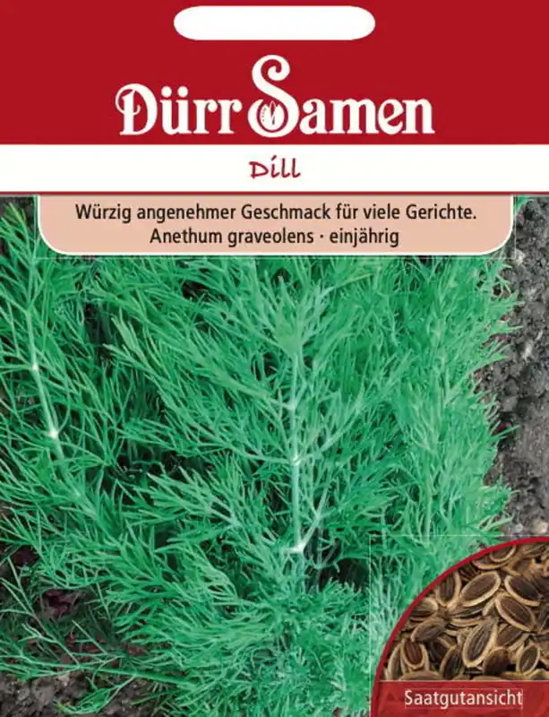 Dürr Samen Dillezaden "Blattreicher", 1.500 Korrels - Rechtstreeks uit de fabriek