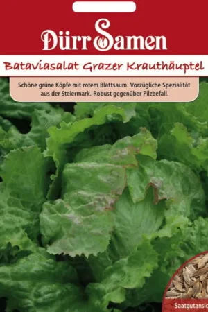 Klantfavoriet | Dürr Samen Sla-zaden "Bataviasalat Grazer Krauthäuptl", 200 Korrels