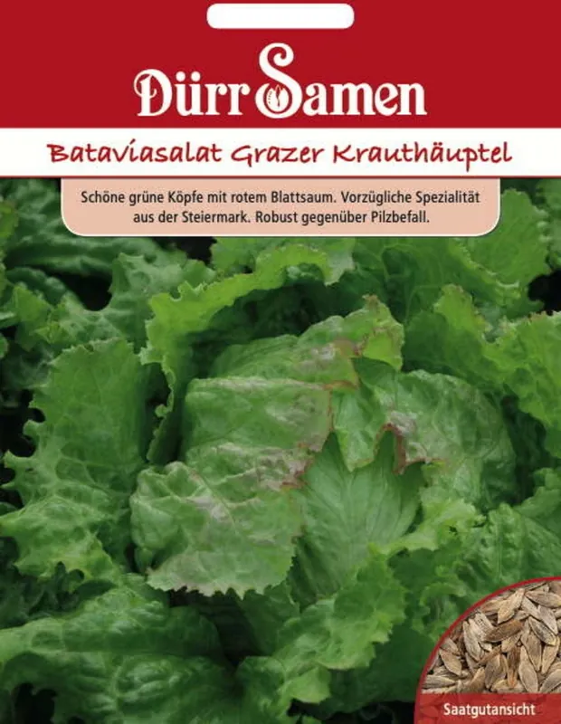 Klantfavoriet | Dürr Samen Sla-zaden "Bataviasalat Grazer Krauthäuptl", 200 Korrels
