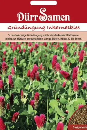 Dürr Samen Groenbemesting "Inkarnatklee", 75 g | Online bestellen