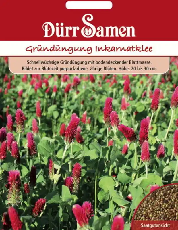 Dürr Samen Groenbemesting "Inkarnatklee", 75 g | Online bestellen