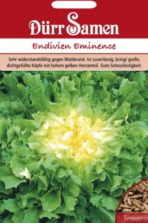 Dürr Samen Andijviezaden "Eminence", 400 Korrels | Lage prijs