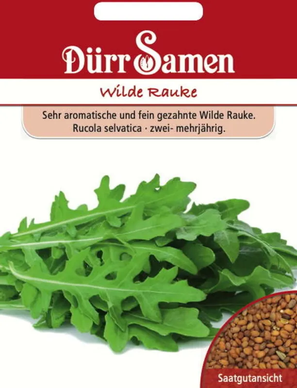 Dürr Samen Rucolazaden "Wilde Rauke", 3.000 Korrels - Speciale deal