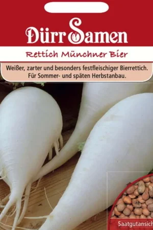 Dürr Samen Witte Rammenas "Münchner Bier", 500 Korrels | Topkwaliteit