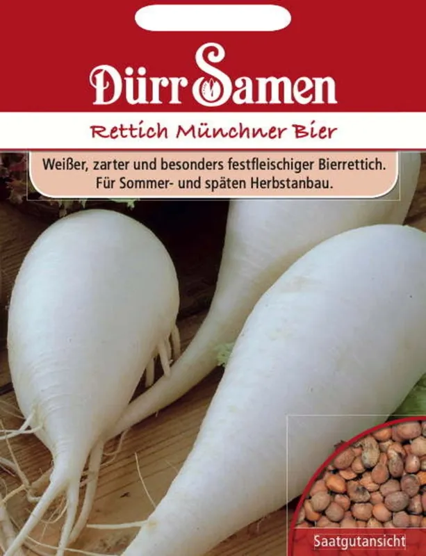 Dürr Samen Witte Rammenas "Münchner Bier", 500 Korrels | Topkwaliteit