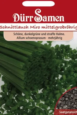 Vanaf nu beschikbaar | Dürr Samen Bieslookzaden "Mittelgrobröhriger Nelly", 600 Korrels