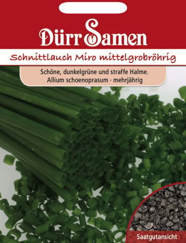 Vanaf nu beschikbaar | Dürr Samen Bieslookzaden "Mittelgrobröhriger Nelly", 600 Korrels