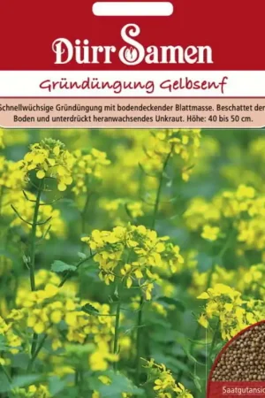 Dürr Samen Groenbemesting "Gelbsenf", 80 g - Nieuw product