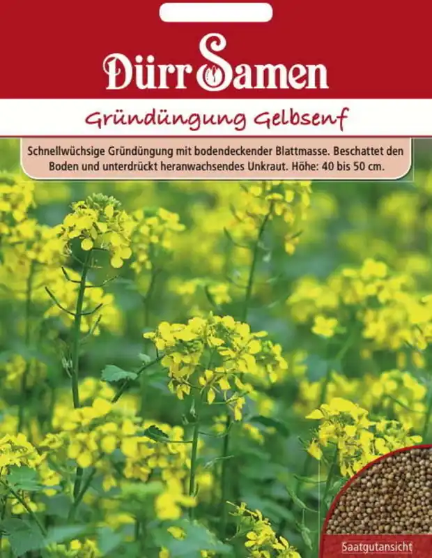 Dürr Samen Groenbemesting "Gelbsenf", 80 g - Nieuw product