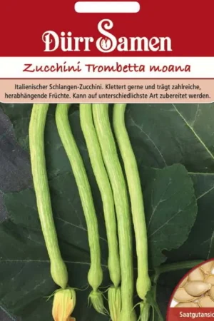 Dürr Samen Courgette-zaden "Trombetta moana", 8 Korrels - Dagdeal