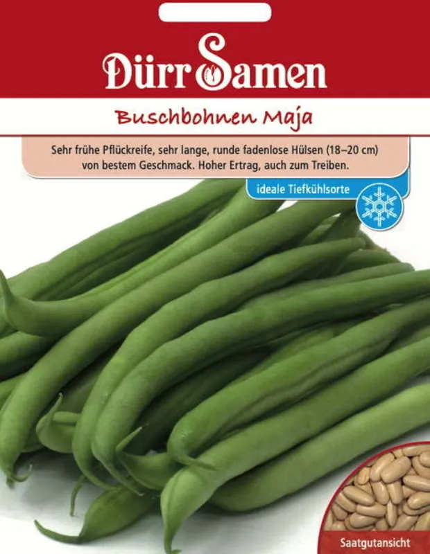 Dürr Samen Stamboon "Maja", 120 Korrels | Online bestellen