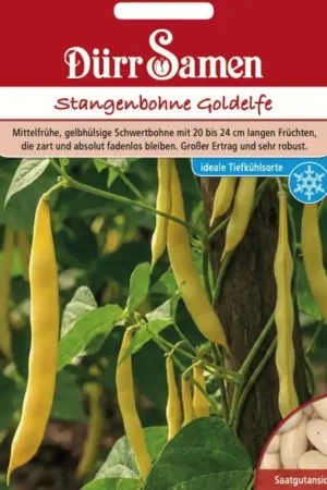 Alleen vandaag - Dürr Samen Stokboon "Goldelfe", 80 Korrels