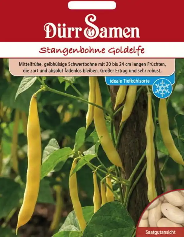 Alleen vandaag - Dürr Samen Stokboon "Goldelfe", 80 Korrels