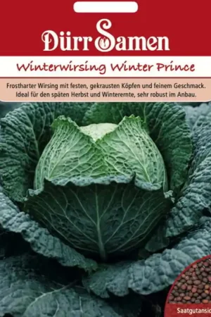 Uitverkoop | Dürr Samen Wintersavooiekoolzaden "Winter Prince", 50 Korrels