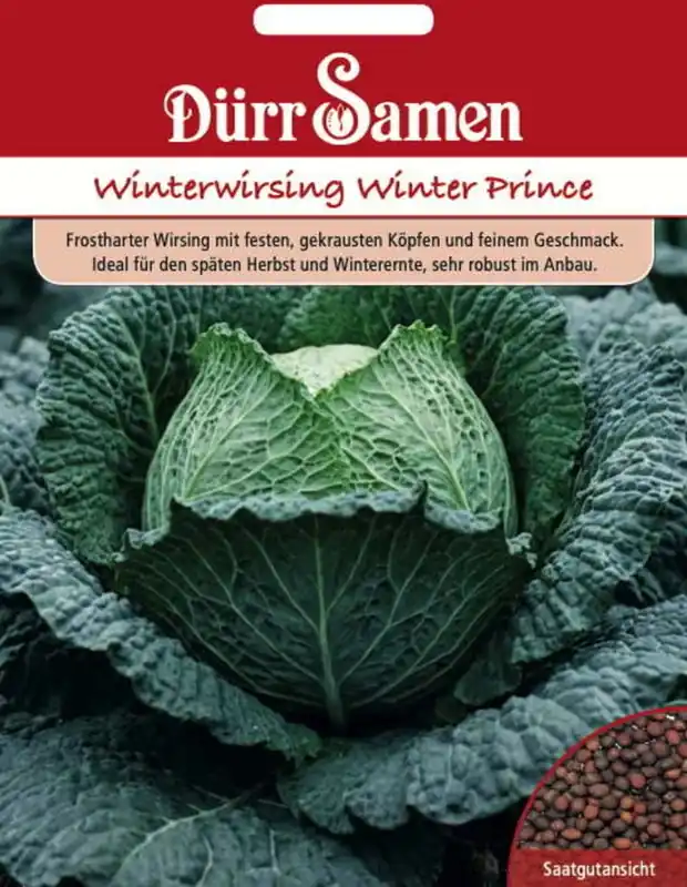 Uitverkoop | Dürr Samen Wintersavooiekoolzaden "Winter Prince", 50 Korrels