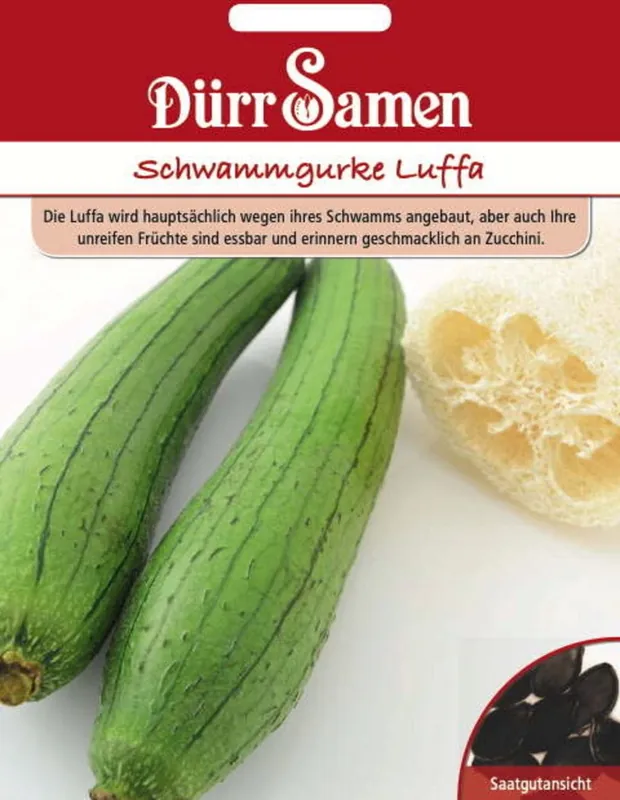Verlaagde prijs - Dürr Samen Sponskomkommer "Luffa", 10 Korrels