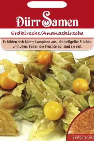Eenvoudig retourneren | Dürr Samen Ananaskerszaden, 15 Korrels