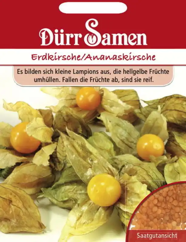 Eenvoudig retourneren | Dürr Samen Ananaskerszaden, 15 Korrels