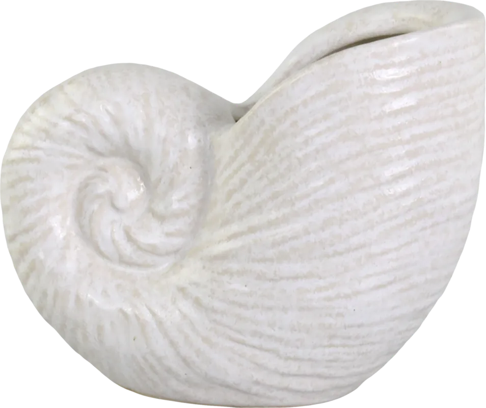 Chic Antique Vaas Schelp - Klaar voor verzending