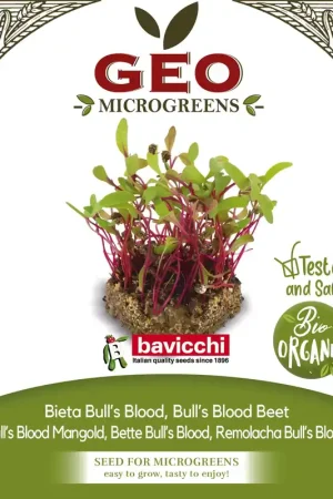 Veilige betaling - Bavicchi Biologische Kiemgroenten "Mangold Bull‘s Blood", 200 g