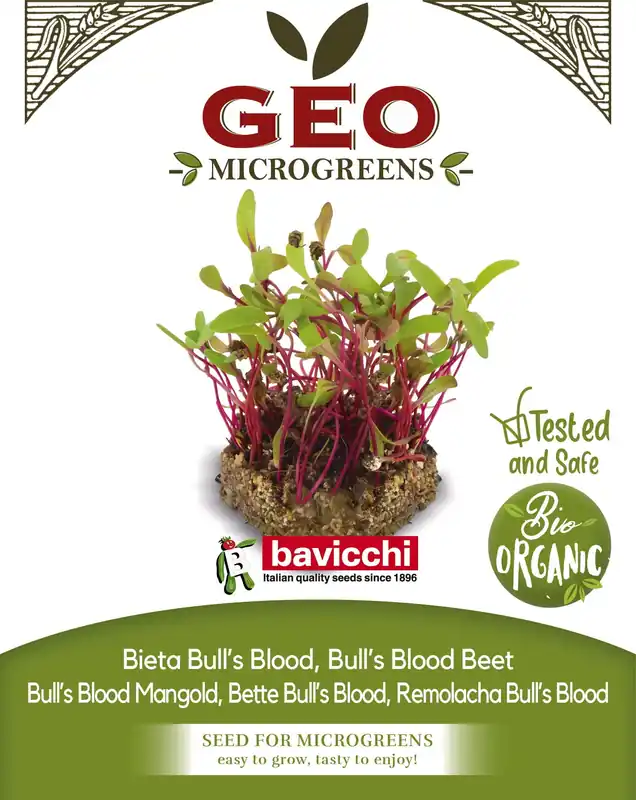 Veilige betaling - Bavicchi Biologische Kiemgroenten "Mangold Bull‘s Blood", 200 g