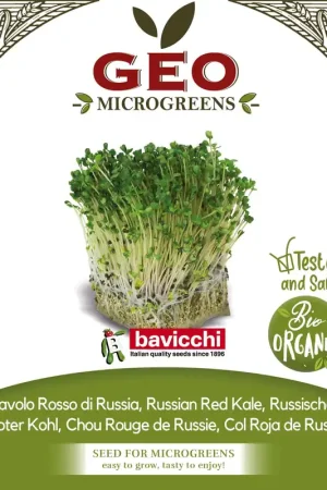 Outlet - Bavicchi Biologische Kiemgroenten "Russischer Roter Kohl", 15 g