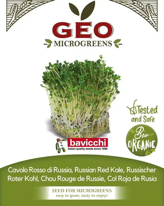 Outlet - Bavicchi Biologische Kiemgroenten "Russischer Roter Kohl", 15 g