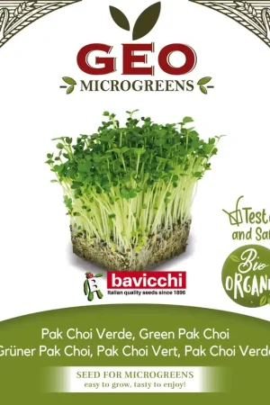 Aanrader - Bavicchi Biologische Kiemgroenten "Grüner Pak Choi", 150 g