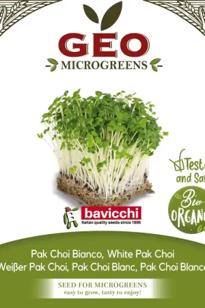 Bavicchi Biologische Kiemgroenten "Weißer Pak Choi", 15 g | Alleen deze week