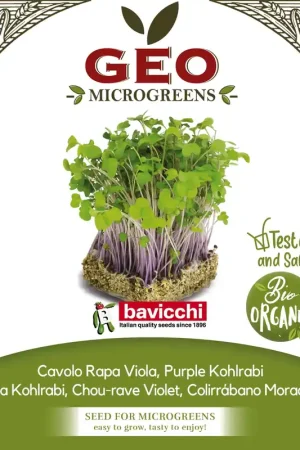 Bavicchi Biologische Kiemgroenten "Kohlrabi lila", 300 g | Rechtstreeks uit de fabriek