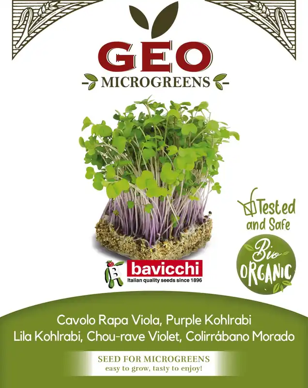 Bavicchi Biologische Kiemgroenten "Kohlrabi lila", 300 g | Rechtstreeks uit de fabriek