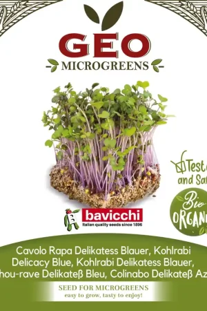 Aanbieding | Bavicchi Biologische Kiemgroenten "Kohlrabi Delikatess Blauer", 300 g