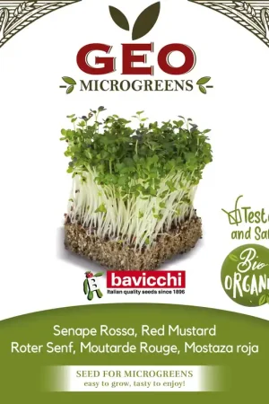 Bavicchi Biologische Kiemgroenten "Roter Senf", 200 g | Shop nu