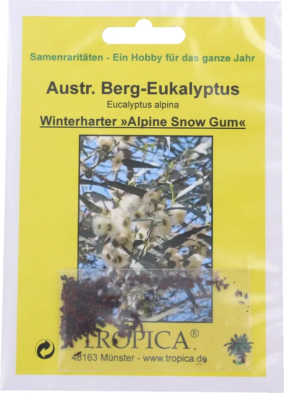 TROPICA Australische Bergeucalyptus, 50 Korrels | Hoog gewaardeerd