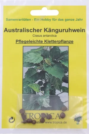 Gratis retourneren - TROPICA Kangaroo Vine, 10 Korrels