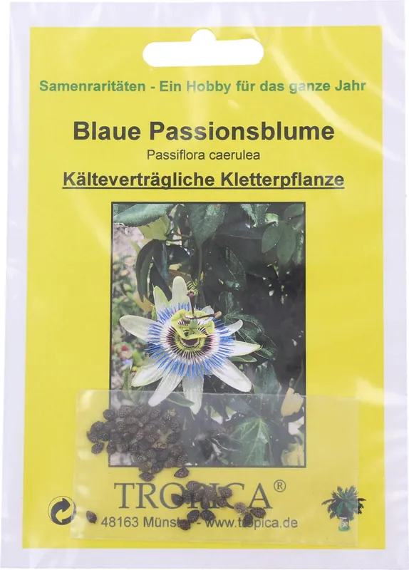 TROPICA Blauwe Passiebloem, 25 Korrels | Flitsaanbieding