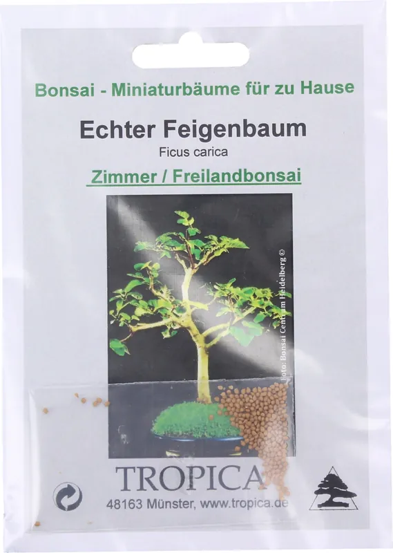 Verlaagde prijs | TROPICA Bonsai "Echter Feigenbaum", 50 Korrels