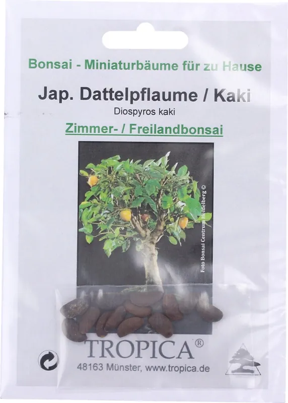 TROPICA Bonsai "Kaki", 10 Korrels - Profiteer nu