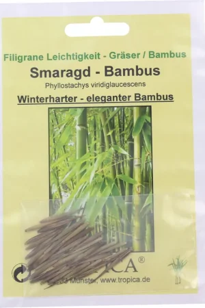 TROPICA Smaragd-Bamboe, 15 Korrels - Net toegevoegd