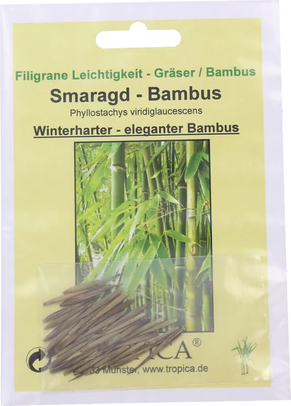 TROPICA Smaragd-Bamboe, 15 Korrels - Net toegevoegd