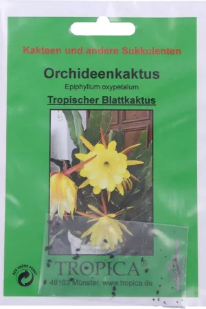 Superprijs - TROPICA Orchideecactus, 20 Korrels