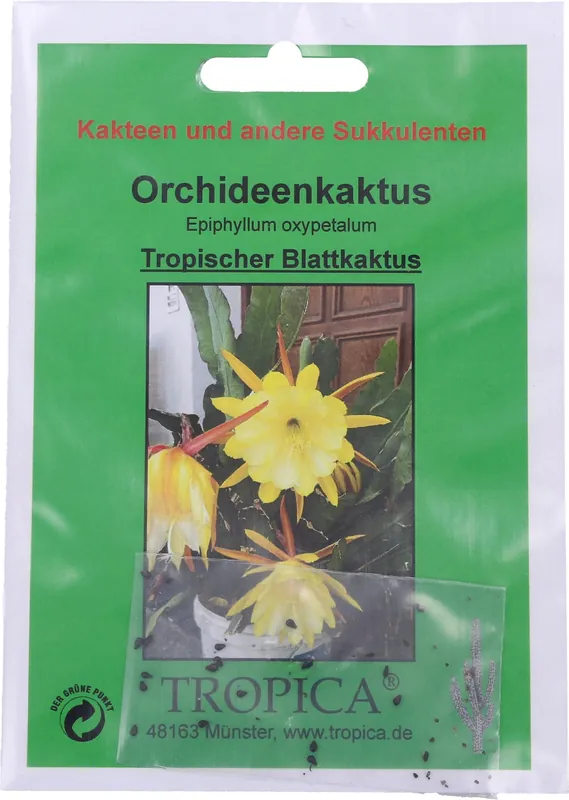 Superprijs - TROPICA Orchideecactus, 20 Korrels