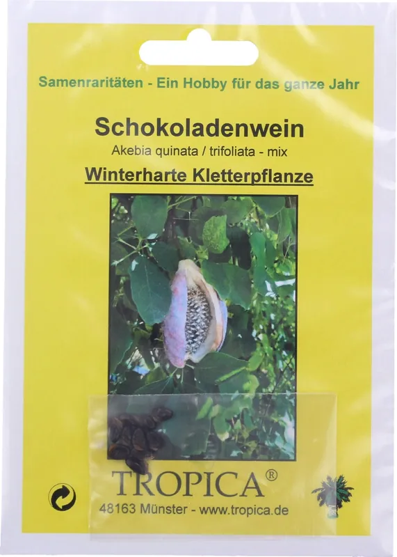 TROPICA Schijnaugurk, 10 Korrels | Zojuist toegevoegd