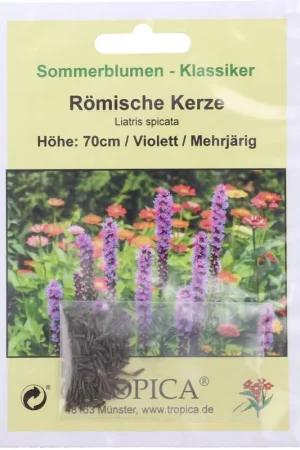 TROPICA Lampenpoetser, 50 Korrels | Actie