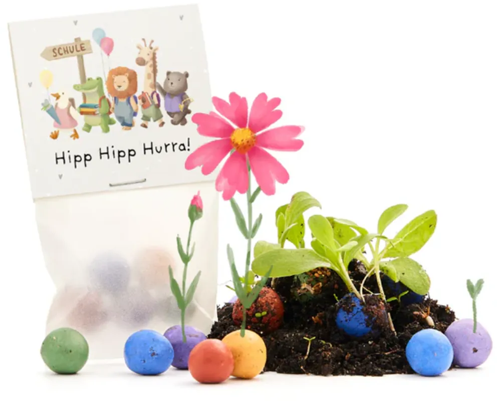 Die Stadtgärtner Bloemenknikkers "Hipp Hipp Hurra Schule", 5 stuks - Direct beschikbaar